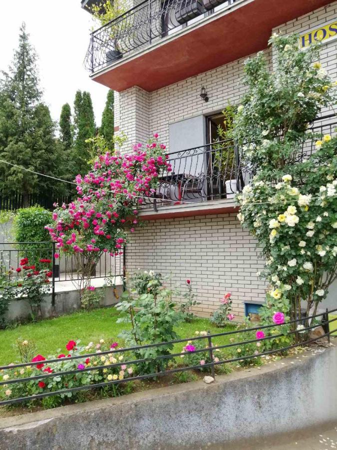 Smestaj - Sobe Marvel Ni Exterior foto